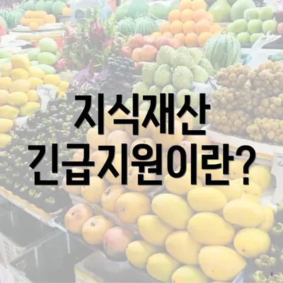 지식재산 긴급지원이란?
