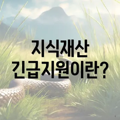 지식재산 긴급지원이란?
