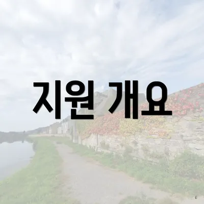 지원 개요