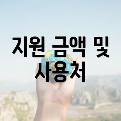 지원 금액 및 사용처