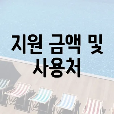 지원 금액 및 사용처