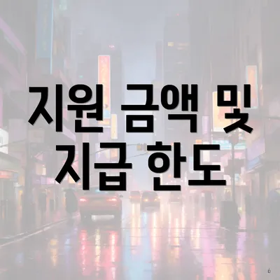 지원 금액 및 지급 한도