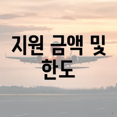 지원 금액 및 한도