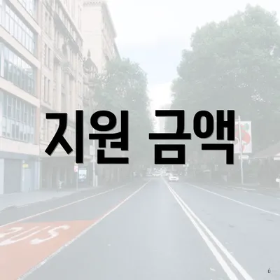지원 금액