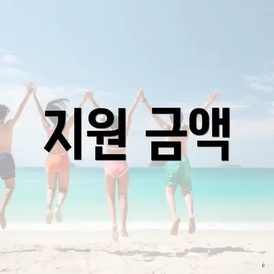 지원 금액