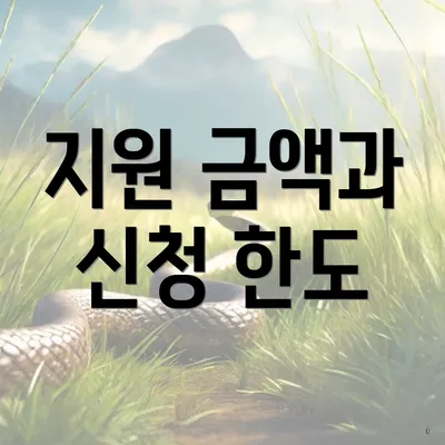 지원 금액과 신청 한도