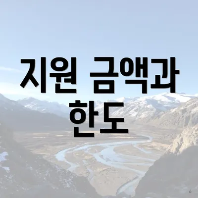 지원 금액과 한도