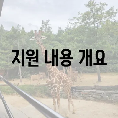 지원 내용 개요