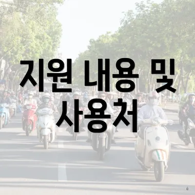지원 내용 및 사용처