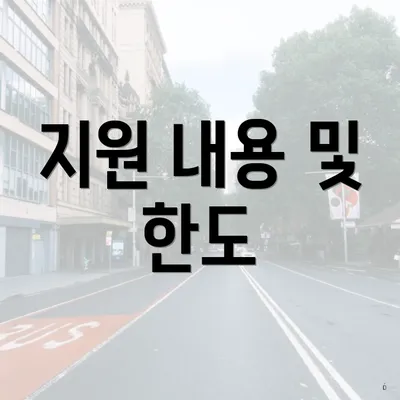 지원 내용 및 한도