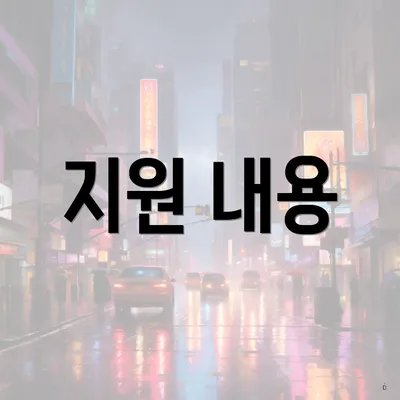 지원 내용