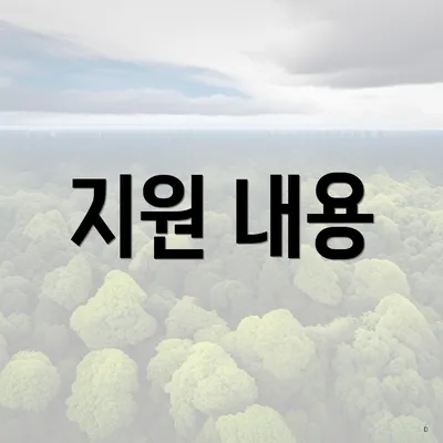 지원 내용