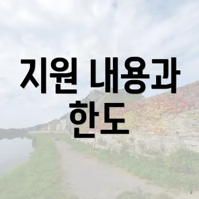 지원 내용과 한도
