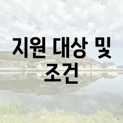 지원 대상 및 조건