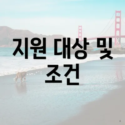 지원 대상 및 조건