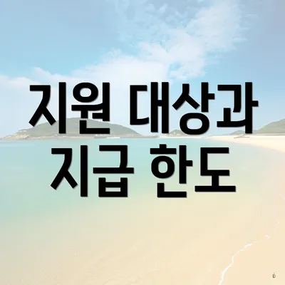 지원 대상과 지급 한도
