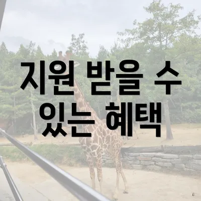 지원 받을 수 있는 혜택