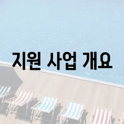 지원 사업 개요