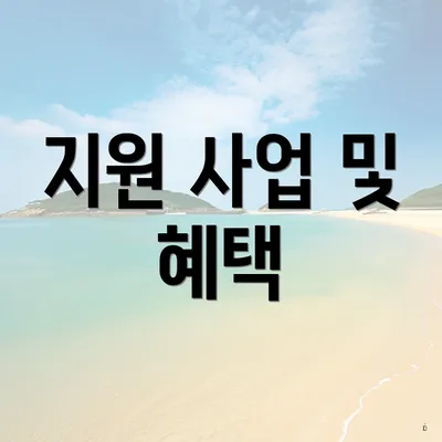 지원 사업 및 혜택
