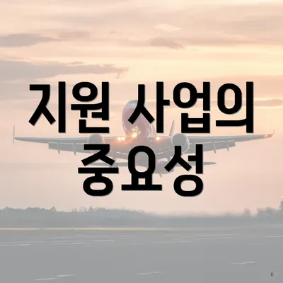지원 사업의 중요성