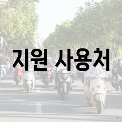 지원 사용처