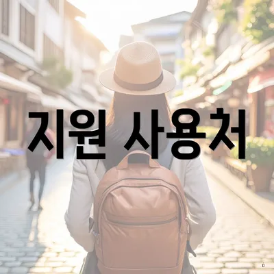 지원 사용처