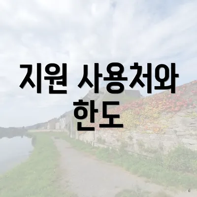 지원 사용처와 한도