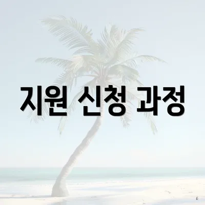 지원 신청 과정