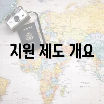 지원 제도 개요
