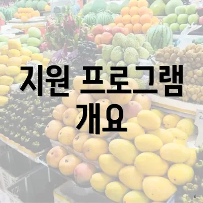 지원 프로그램 개요