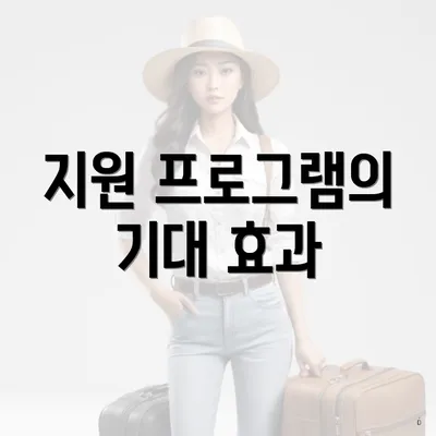 지원 프로그램의 기대 효과