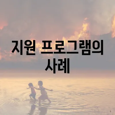 지원 프로그램의 사례