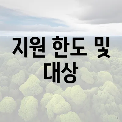 지원 한도 및 대상