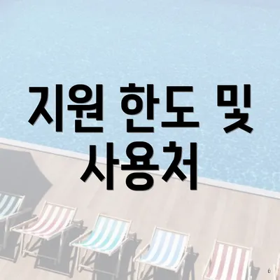 지원 한도 및 사용처