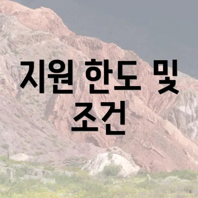 지원 한도 및 조건