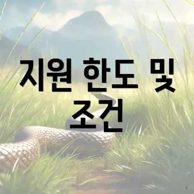 지원 한도 및 조건