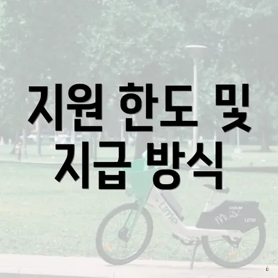 지원 한도 및 지급 방식