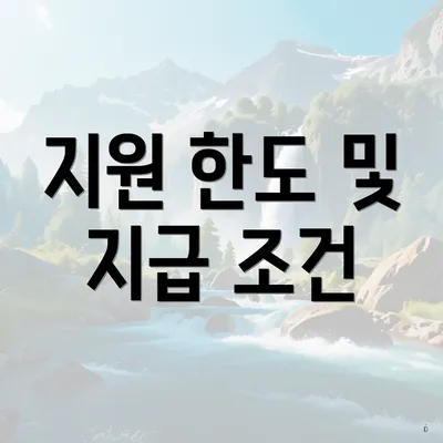 지원 한도 및 지급 조건