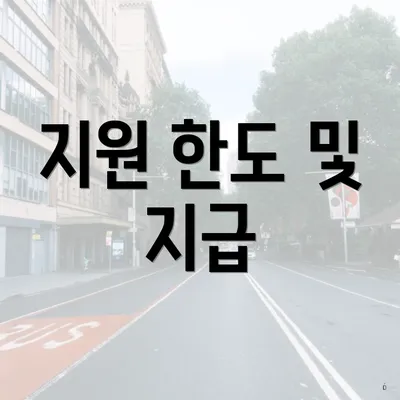 지원 한도 및 지급