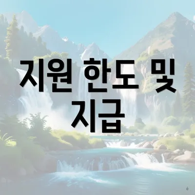지원 한도 및 지급