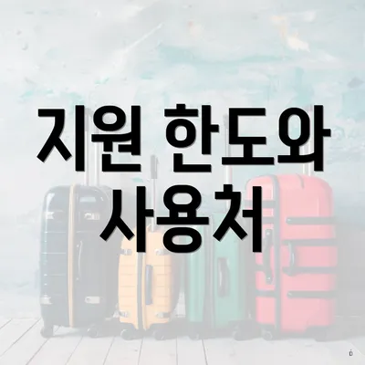 지원 한도와 사용처