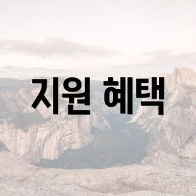 지원 혜택