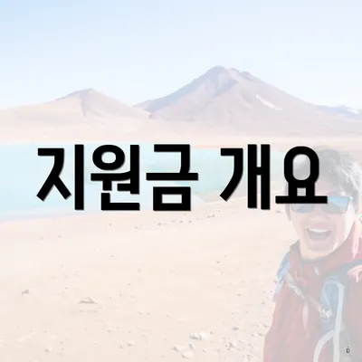 지원금 개요