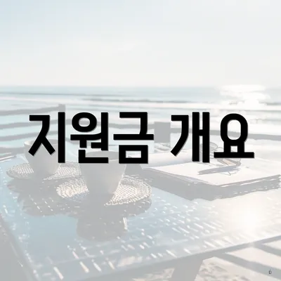 지원금 개요