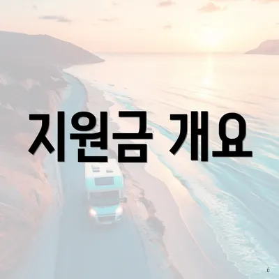 지원금 개요