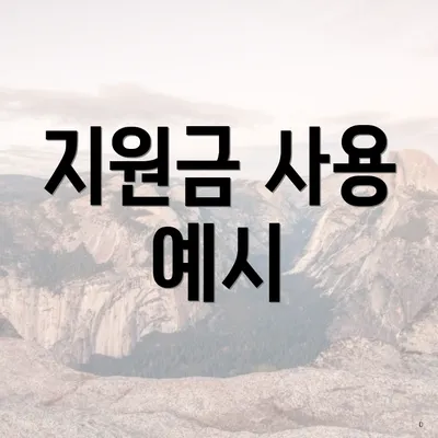 지원금 사용 예시
