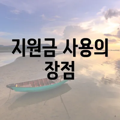 지원금 사용의 장점