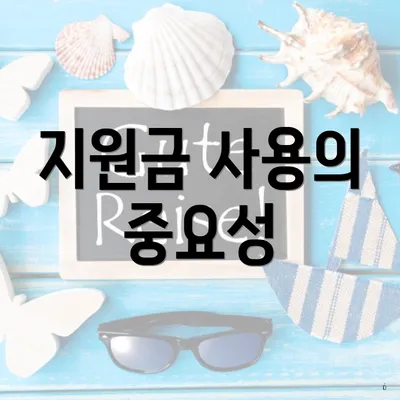 지원금 사용의 중요성