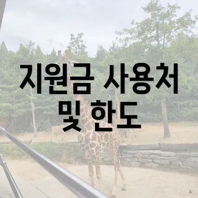 지원금 사용처 및 한도