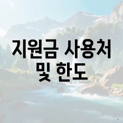 지원금 사용처 및 한도